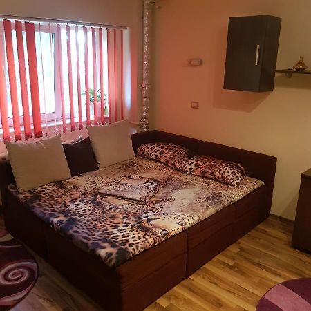 Ferienwohnung Garsoniera Delia Constanţa Exterior foto