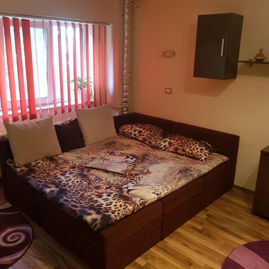 Ferienwohnung Garsoniera Delia Constanţa Exterior foto